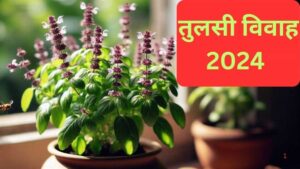 Tulsi Vivah 2024
