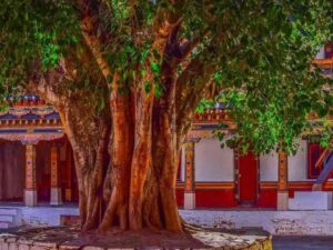 Vastu Tips: घर में लड़ाई-झगड़ों से हैं परेशान? शनिवार को करें ये खास उपाय