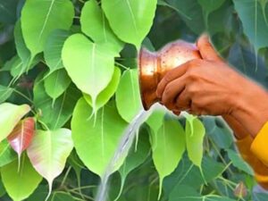Vastu Tips: नए साल पर कर्जे से मिलेगी राहत, करे यह 5 उपाए